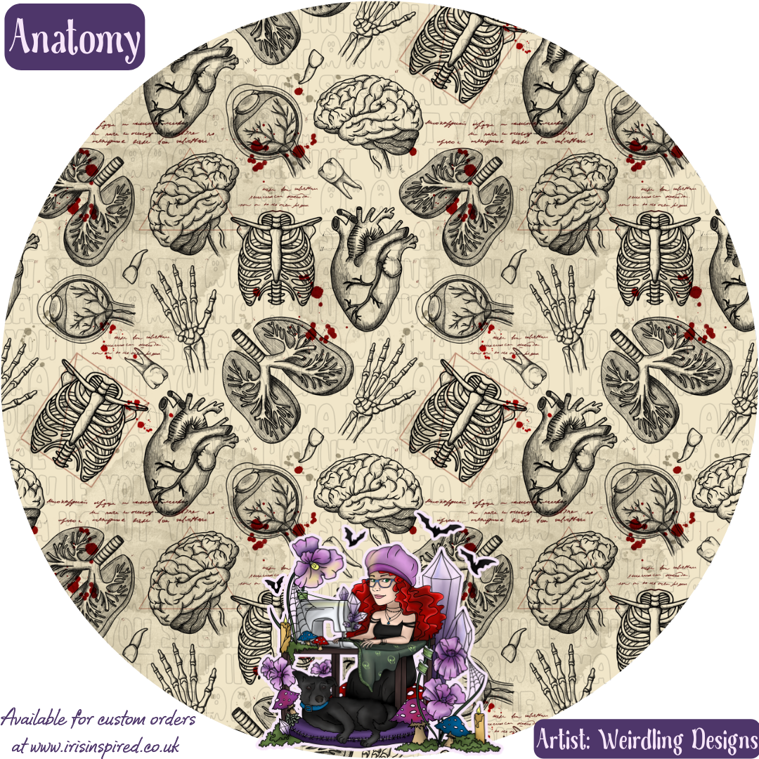 Anatomy Small Claw Clip