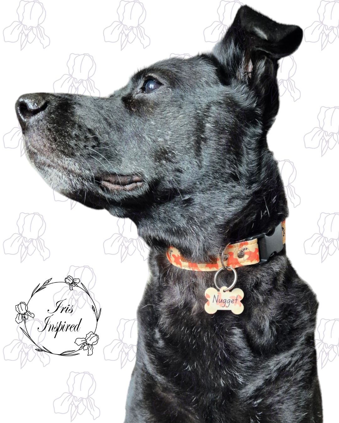 Gentleman Ghost Medium Dog Collar