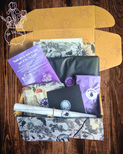 Iris Coven Box 3 Retail