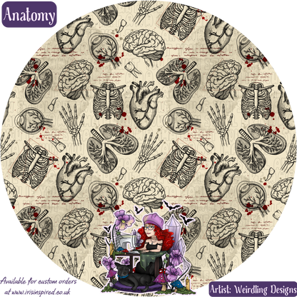 Anatomy Small Claw Clip