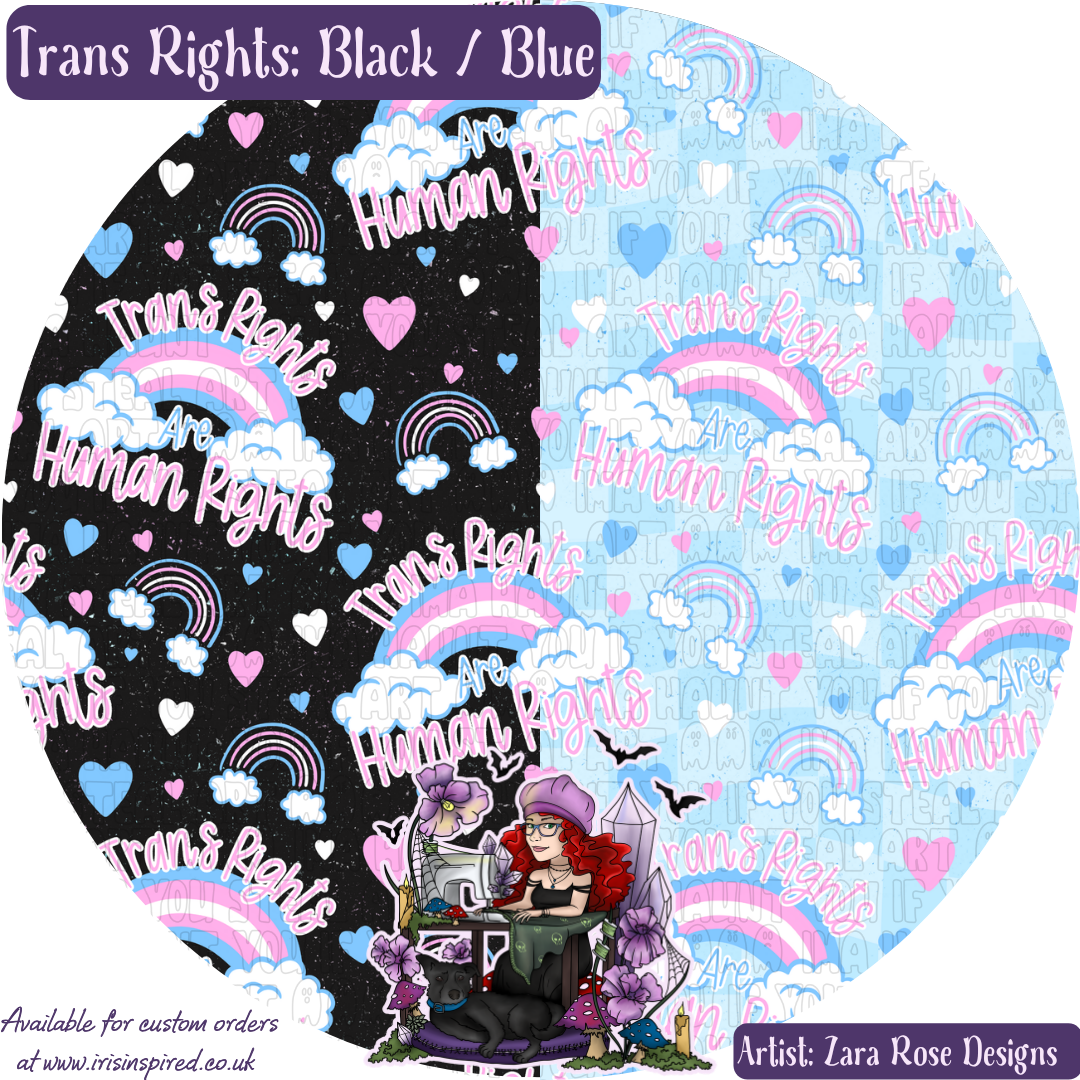 Trans Rights Claw Clip